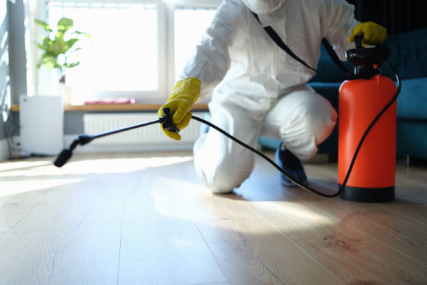 Reliable Odor Removal contractor in McCleary, WA by Trauma Clean Pros