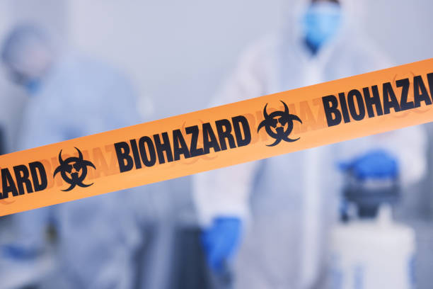 Professional Odor Removal technician working in McCleary, WA